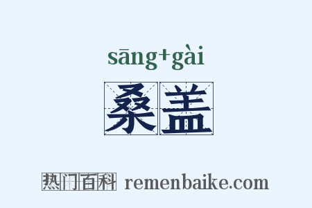 桑盖是什么意思的图片
